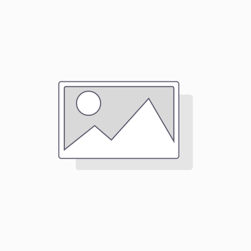 Basic Phone Type